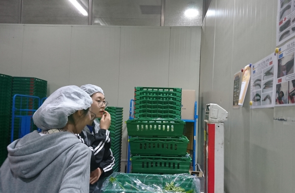 사진제공/경기농식품유통진흥원