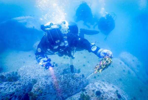 코웨이 직원이 바다에서 쓰레기를 수거하는 플로빙 활동을 진행하고 있다.(사진제공/코웨이)