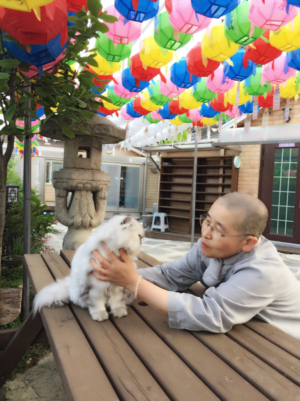 보타사 소천 일양스님
