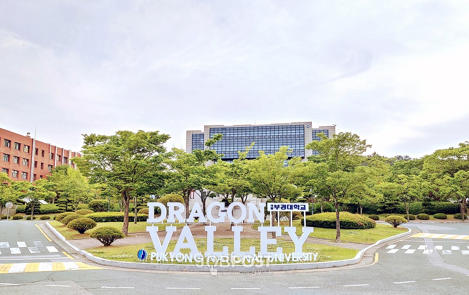 창업보육센터와 기업들이 입주해 있는 용당캠퍼스 드래곤밸리 전경.(사진_부경대)