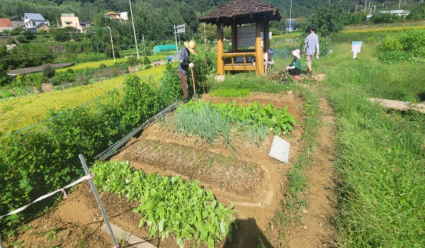 동부산 텃밭 – 기장군 철마면 웅천리 311번지 (사진제공=부산시)