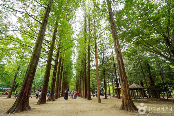출처 : 한국관광공사 포토코리아-BOKEH
