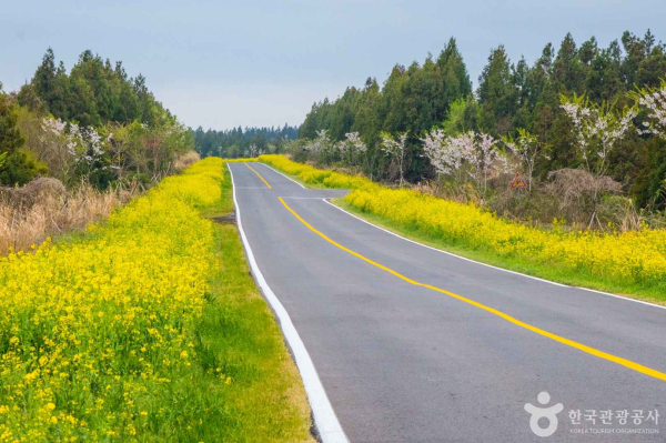 출처: ⓒ한국관광공사 포토코리아-라이브스튜디오