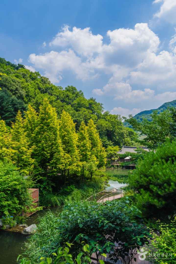 화담숲, ⓒ한국관광공사 포토코리아-김주원