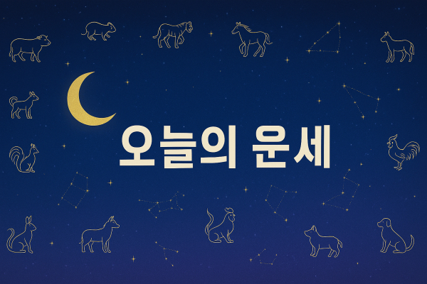참고이미지_오늘의 운세