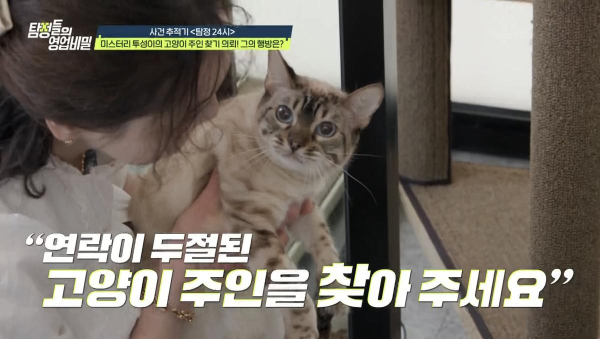 출처: 채널A