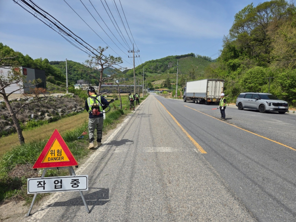 금산군안전하고 깨끗한 도로 환경 조성 사진