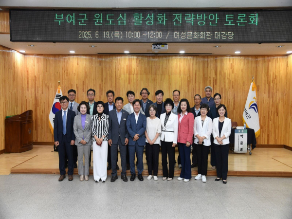 부여군 원도심 활성화 방안 전략방안 토론회